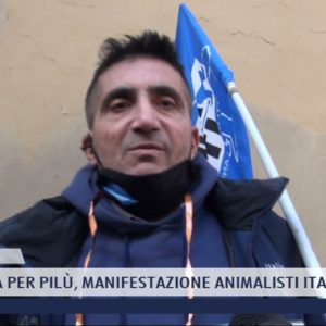 2021-12-20 PISTOIA - GIUSTIZIA PER PILÙ, MANIFESTAZIONE ANIMALISTI ITALIANI