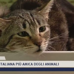 2022-01-19 PRATO - LA CITTÀ ITALIANA PIÙ AMICA DEGLI ANIMALI