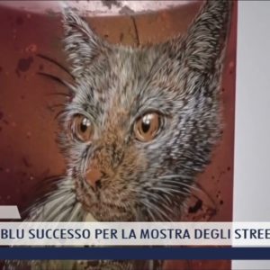 2022-01-31 PISA - PALAZZO BLU SUCCESSO PER LA MOSTRA DEGLI STREET ARTIST