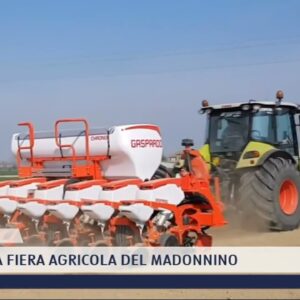2022-02-18 GROSSETO - TORNA LA FIERA AGRICOLA DEL MADONNINO