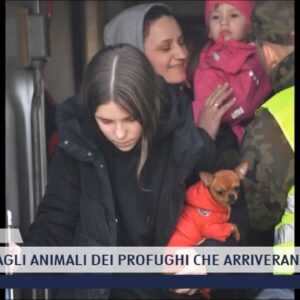 2022-03-13 TOSCANA - LE CURE AGLI ANIMALI DEI PROFUGHI CHE ARRIVERANNO