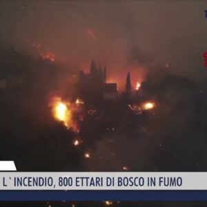 2022-07-21 MASSAROSA - SI ALLARGA L'INCENDIO, 800 ETTARI DI BOSCO IN FUMO