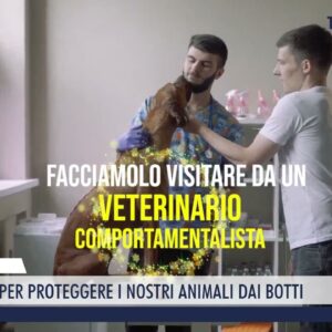 2022-12-31 TOSCANA - DECALOGO PER PROTEGGERE I NOSTRI ANIMALI DAI BOTTI