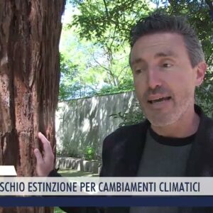 2023-04-21 PISA - ALBERI A RISCHIO ESTINZIONE PER CAMBIAMENTI CLIMATICI